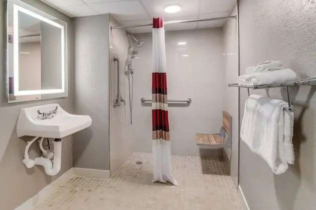 Superior Oda, 1 En Büyük (King) Boy Yatak, Engellilere Uygun, Sigara İçilmez (Roll-In Shower)