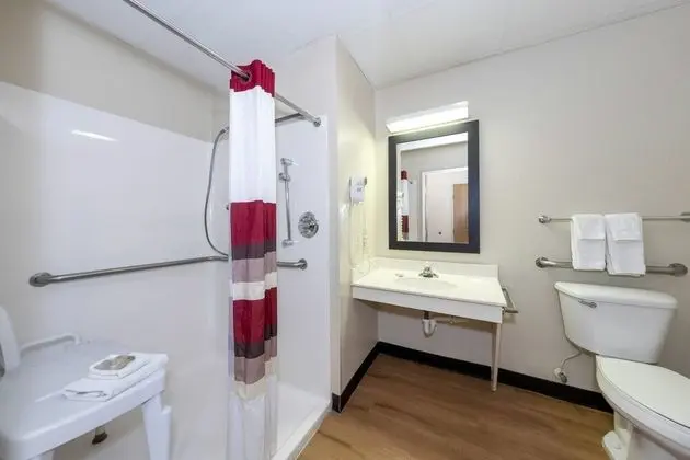 Deluxe Oda, 1 En Büyük (King) Boy Yatak, Engellilere Uygun, Sigara İçilmez (Roll-In Shower)