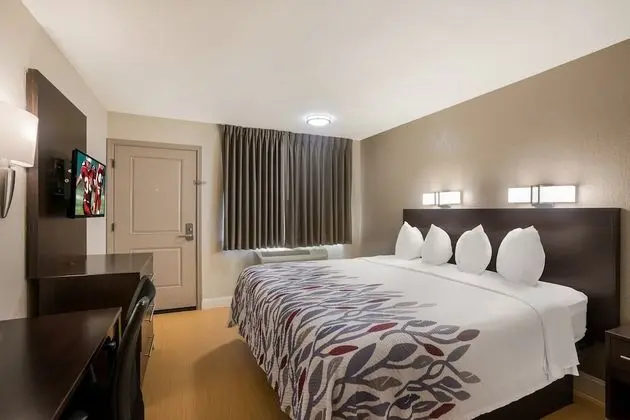 Deluxe Oda, Birden Çok Yatak, Sigara İçilmez