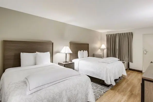Premium Oda, 2 Çift Kişilik Yatak (Upgraded Bedding & Snack, Smoke Free)