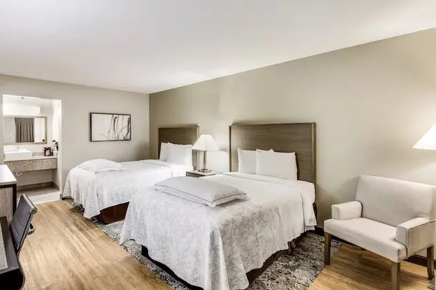 Premium Oda, 2 Çift Kişilik Yatak (Upgraded Bedding & Snack, Smoke Free)