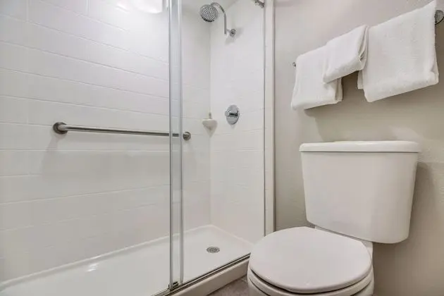 Premium Oda, 2 Çift Kişilik Yatak (Upgraded Bedding & Snack, Smoke Free)