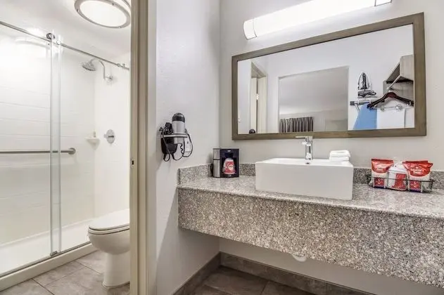 Premium Oda, 2 Çift Kişilik Yatak (Upgraded Bedding & Snack, Smoke Free)