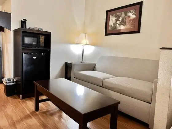 Süit, 1 En Büyük (King) Boy Yatak ve Çekyat, Sigara İçilmez, Sıcak Su Küveti (Larger Room)