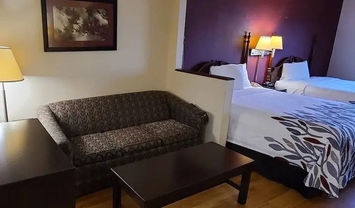 Süit, 2 Büyük (Queen) Boy Yatak, Sigara İçilmez