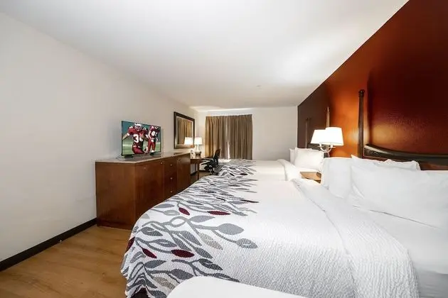 Deluxe Oda, 2 Çift Kişilik Yatak, Sigara İçilmez