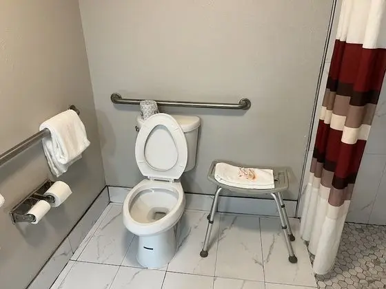 Deluxe Oda, 1 En Büyük (King) Boy Yatak, Engellilere Uygun, Sigara İçilmez