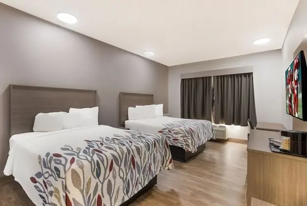 Deluxe Oda, 2 Büyük (Queen) Boy Yatak, Sigara İçilmez