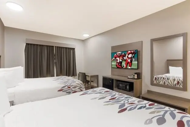 Deluxe Oda, 2 Büyük (Queen) Boy Yatak, Sigara İçilmez