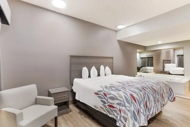 Süit, 1 En Büyük (King) Boy Yatak, Sigara İçilmez, Sıcak Su Küveti