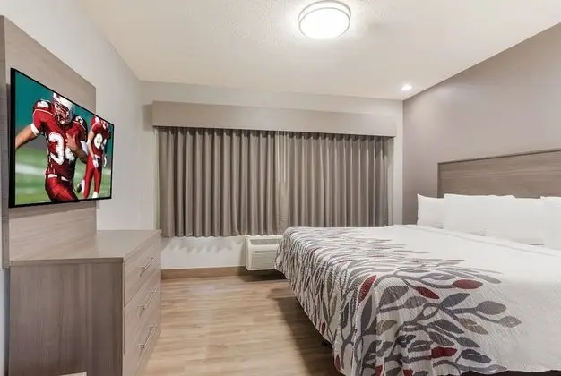 Superior Oda, 1 En Büyük (King) Boy Yatak, Sigara İçilmez