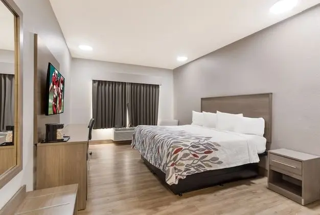 Superior Oda, 1 En Büyük (King) Boy Yatak, Sigara İçilmez