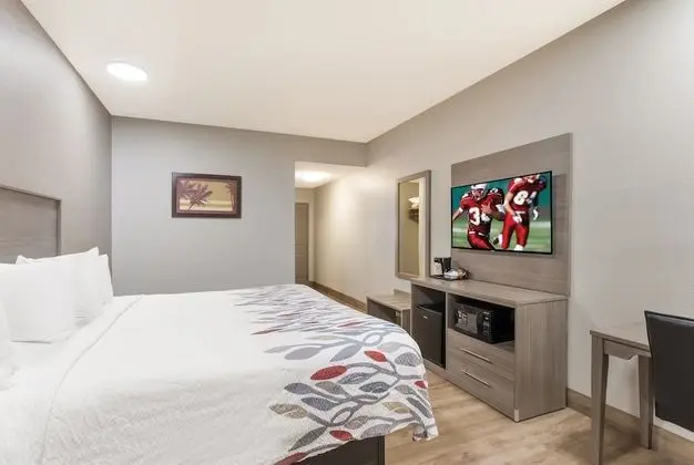 Superior Oda, 1 En Büyük (King) Boy Yatak, Sigara İçilmez