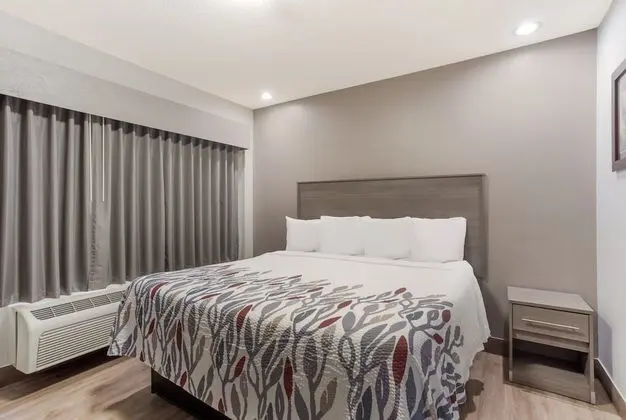 Superior Oda, 1 En Büyük (King) Boy Yatak, Sigara İçilmez