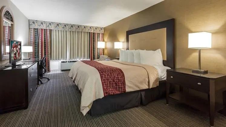 Standard Oda, 1 En Büyük (King) Boy Yatak, Engellilere Uygun, Sigara İçilmez (Roll-In Shower)