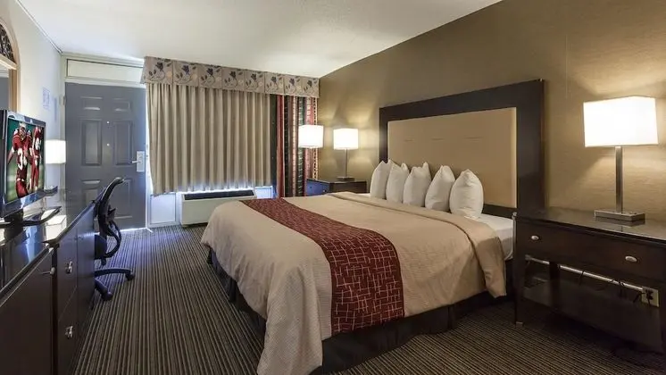 Standard Oda, 1 En Büyük (King) Boy Yatak, Engellilere Uygun, Sigara İçilmez (Roll-In Shower)