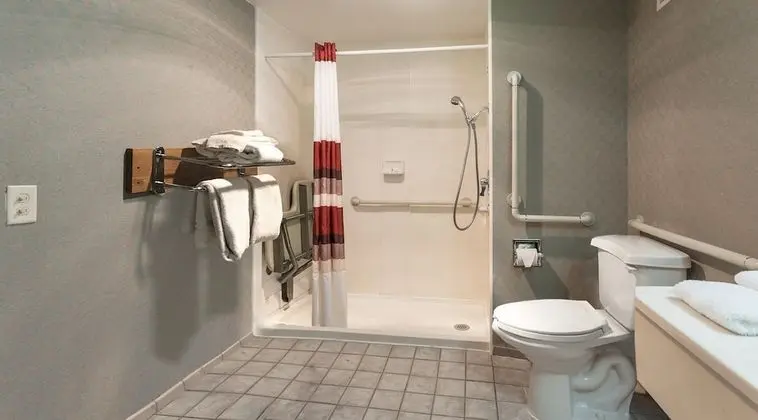 Standard Oda, 2 Çift Kişilik Yatak, Engellilere Uygun, Sigara İçilmez (Roll-In Shower)