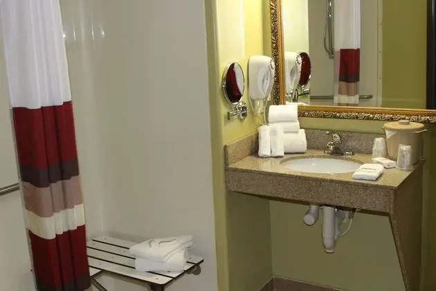Deluxe Oda, 2 Büyük (Queen) Boy Yatak, Engellilere Uygun, Sigara İçilmez (Roll-In Shower)