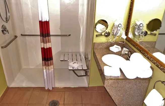 Deluxe Oda, 2 Büyük (Queen) Boy Yatak, Engellilere Uygun, Sigara İçilmez (Roll-In Shower)