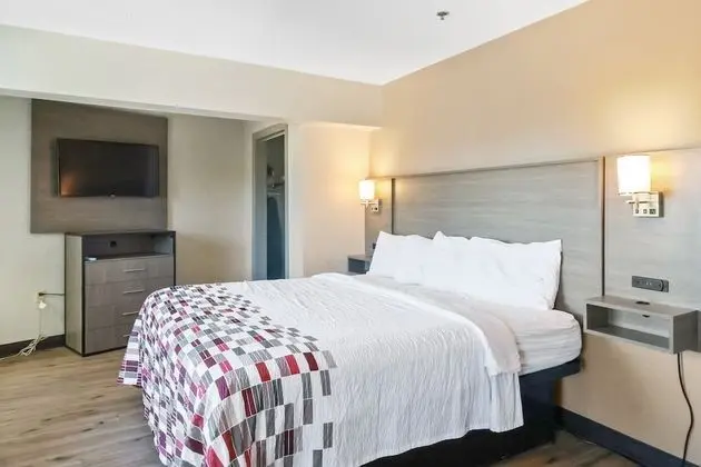 Süit, Sigara İçilmez (2 king beds)