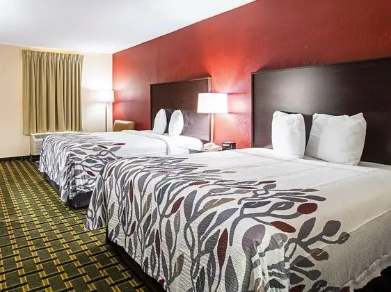 Deluxe Oda, 2 Çift Kişilik Yatak, Sigara İçilmez