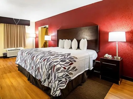 Süit, 1 En Büyük (King) Boy Yatak, Sigara İçilmez, Sıcak Su Küveti