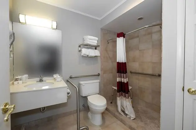 Süit, 1 En Büyük (King) Boy Yatak, Engellilere Uygun, Sigara İçilmez (Roll-In Shower)