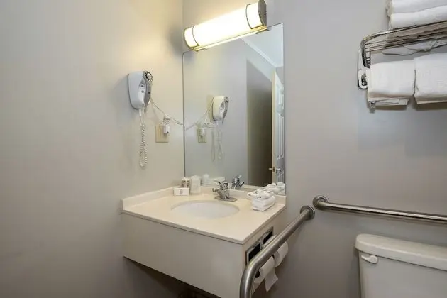 Süit, 1 En Büyük (King) Boy Yatak, Engellilere Uygun, Sigara İçilmez (Roll-In Shower)
