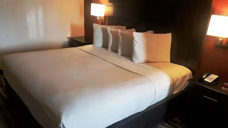 Standard Süit, 1 En Büyük (King) Boy Yatak, Engellilere Uygun (Jetted Tub, Roll-In Shower)