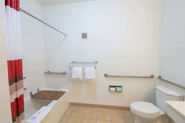 Deluxe Oda, 2 Çift Kişilik Yatak, Sigara İçilmez (Wheelchair Accessible)