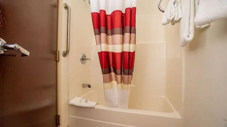 Deluxe Oda, 2 Çift Kişilik Yatak, Sigara İçilmez (Wheelchair Accessible)