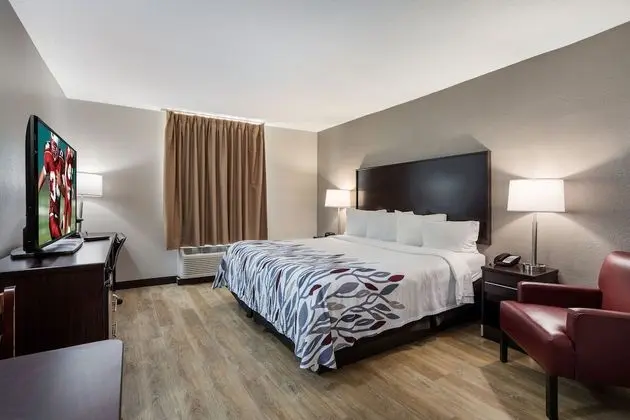 Deluxe Oda, 1 En Büyük (King) Boy Yatak, Engellilere Uygun, Sigara İçilmez