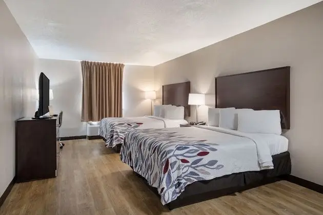 Deluxe Oda, 2 Büyük (Queen) Boy Yatak, Sigara İçilmez