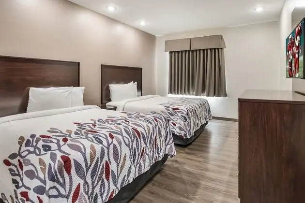 Deluxe Oda, 2 Büyük (Queen) Boy Yatak, Engellilere Uygun, Sigara İçilmez (Walk-In Shower)
