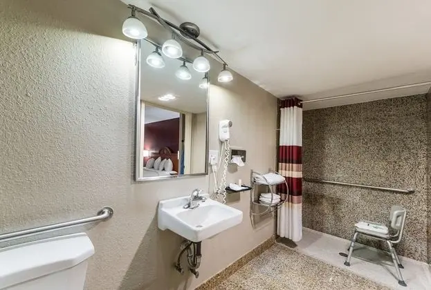 Deluxe Oda, 1 En Büyük (King) Boy Yatak, Engellilere Uygun, Sigara İçilmez (Roll-In Shower)