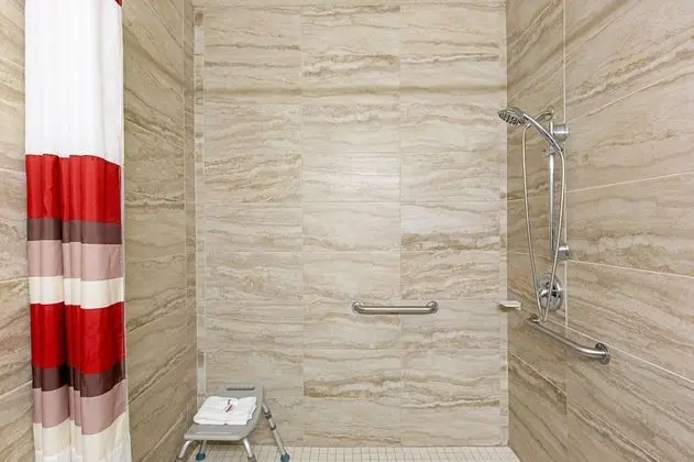 Deluxe Oda, 1 Büyük (Queen) Boy Yatak, Engellilere Uygun (Roll-In Shower, Smoke Free)