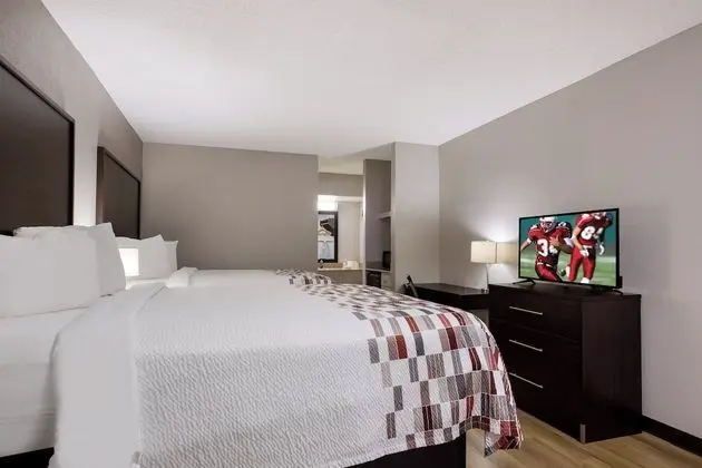 Deluxe Oda, 2 Çift Kişilik Yatak, Sigara İçilmez