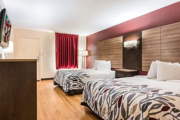 Deluxe Oda, 2 Çift Kişilik Yatak, Engellilere Uygun, Sigara İçilmez