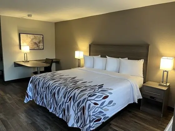 Deluxe Oda, 1 En Büyük (King) Boy Yatak, Engellilere Uygun, Sigara İçilmez