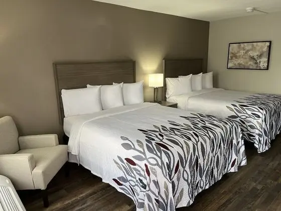 Deluxe Oda, 2 Büyük (Queen) Boy Yatak, Sigara İçilmez