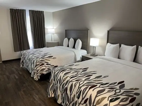 Deluxe Oda, 2 Büyük (Queen) Boy Yatak, Sigara İçilmez