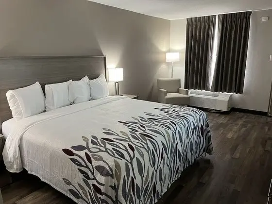 Süit, 1 En Büyük (King) Boy Yatak ve Çekyat, Engellilere Uygun, Sigara İçilmez