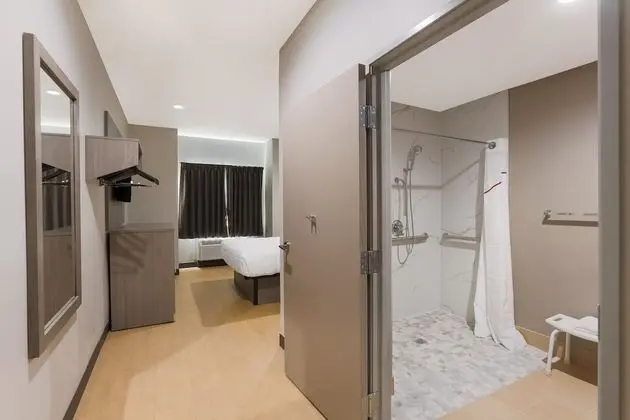 Deluxe Oda, 1 Büyük (Queen) Boy Yatak, Engellilere Uygun, Sigara İçilmez (Roll-In Shower)