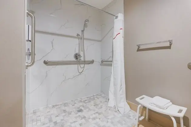 Deluxe Oda, 1 Büyük (Queen) Boy Yatak, Engellilere Uygun, Sigara İçilmez (Roll-In Shower)