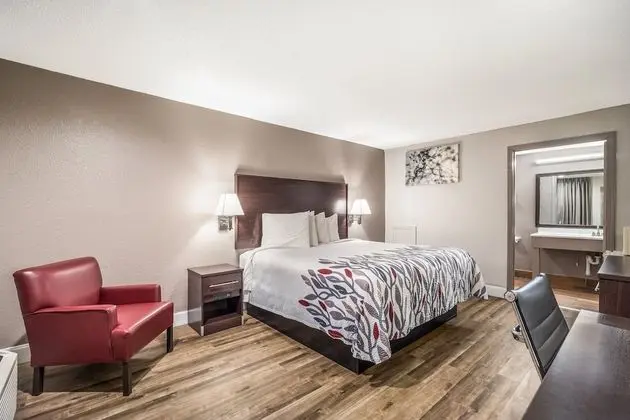 Deluxe Oda, 1 En Büyük (King) Boy Yatak, Sigara İçilmez