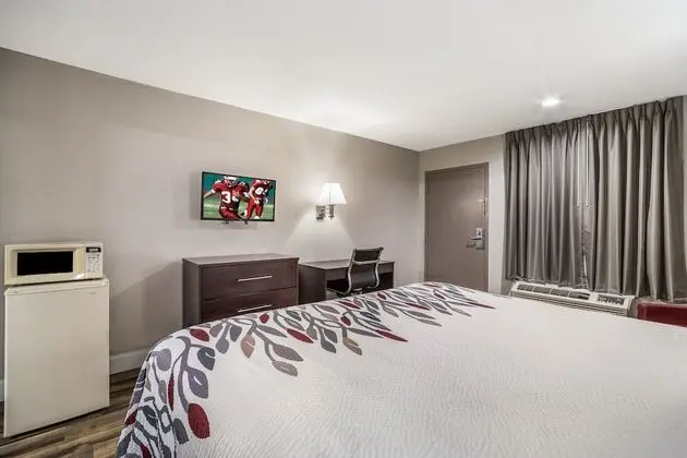 Deluxe Oda, 1 En Büyük (King) Boy Yatak, Sigara İçilmez