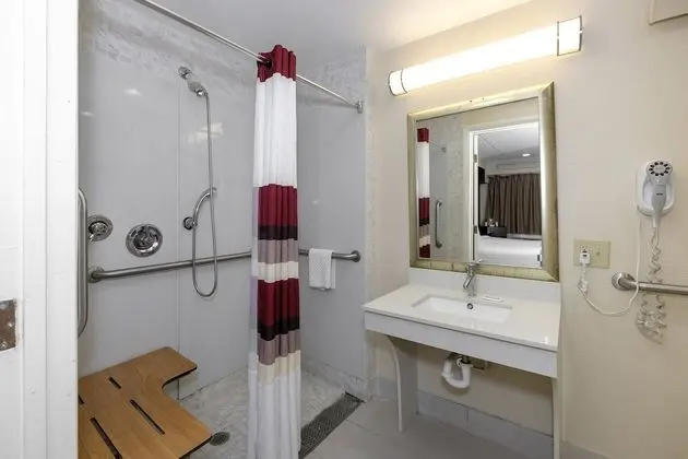 Oda, 1 En Büyük (King) Boy Yatak, Engellilere Uygun, Sigara İçilmez (Roll-In Shower)