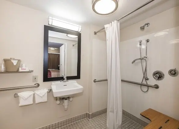 Superior Oda, 1 Çift Kişilik Yatak, Engellilere Uygun (Roll-In Shower, Smoke Free)