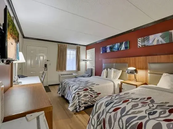 Deluxe Oda, 2 Çift Kişilik Yatak, Sigara İçilmez