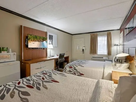 Deluxe Oda, 2 Çift Kişilik Yatak, Sigara İçilmez